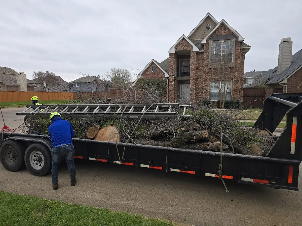 Expert Lot Clearing with proper safety equipment in Pelham